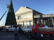  للسنة الثالثة على التوالي - استعدادات لاضاءة شجرة عيد الميلاد في مدينة يافا 